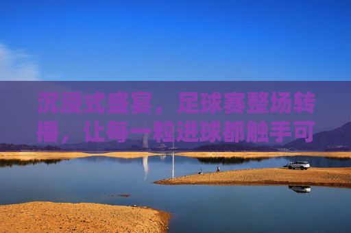 沉浸式盛宴,足球赛整场转播,让每一粒进球都触手可及,沉浸式足球盛宴,整场转播,让每一粒进球触手可及