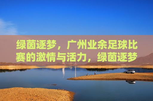 绿茵逐梦,广州业余足球比赛的激情与活力,绿茵逐梦,广州业余足球比赛的激情与活力