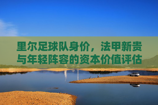 里尔足球队身价,法甲新贵与年轻阵容的资本价值评估,里尔足球队身价,法甲新贵与年轻阵容的资本价值评估