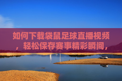 如何下载袋鼠足球直播视频,轻松保存赛事精彩瞬间,随时畅享足球盛宴