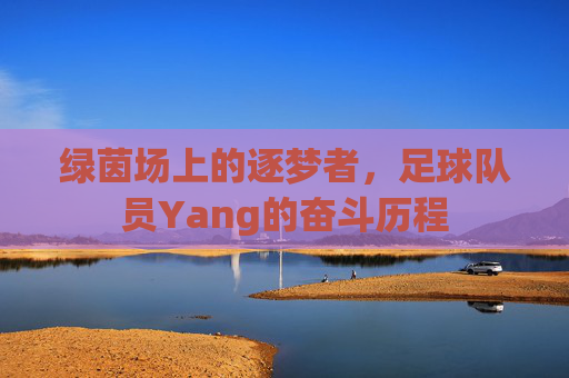 绿茵场上的逐梦者,足球队员Yang的奋斗历程