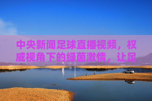 中央新闻足球直播视频，权威视角下的绿茵激情，让足球爱好者零距离感受赛场风云，中央新闻足球直播，权威视角下的绿茵激情，零距离感受赛场风云