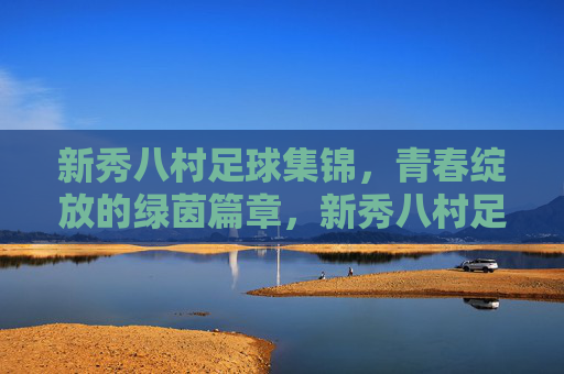 新秀八村足球集锦,青春绽放的绿茵篇章,新秀八村足球集锦,青春绽放的绿茵篇章