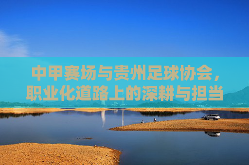中甲赛场与贵州足球协会,职业化道路上的深耕与担当——贵州足球在中甲联赛中的发展轨迹与未来展望