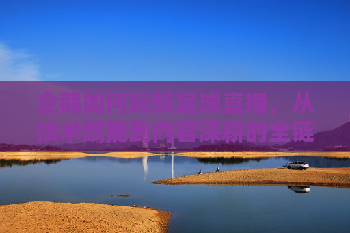 企鹅如何玩转足球直播，从技术赋能到内容深耕的全链路解析，企鹅如何玩转足球直播，从技术赋能到内容深耕的全链路解析
