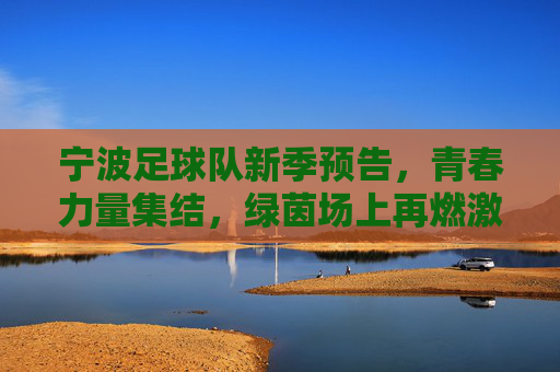 宁波足球队新季预告，青春力量集结，绿茵场上再燃激情，宁波足球队新季预告，青春力量集结，绿茵场上再燃激情
