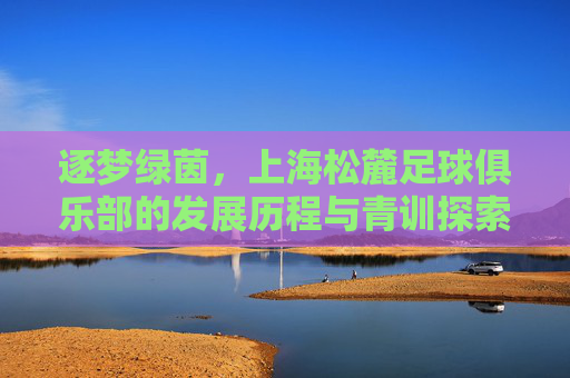逐梦绿茵,上海松麓足球俱乐部的发展历程与青训探索,逐梦绿茵,上海松麓足球俱乐部的发展历程与青训探索