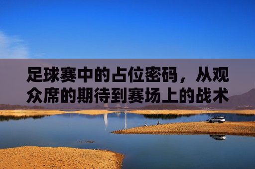 足球赛中的占位密码,从观众席的期待到赛场上的战术博弈,足球赛中的占位密码,从观众席的期待到赛场上的战术博弈