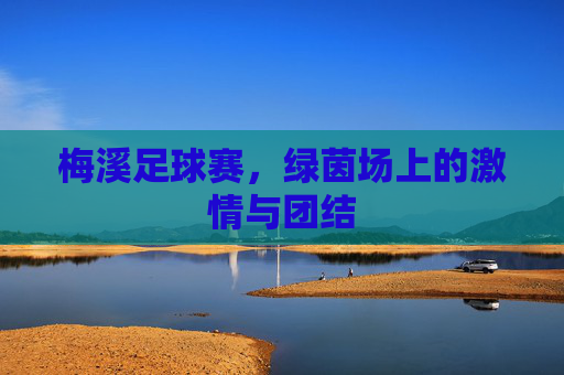 梅溪足球赛,绿茵场上的激情与团结