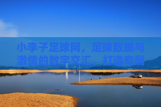 小李子足球网，足球数据与激情的数字交汇，打造专属球迷的智慧观赛空间