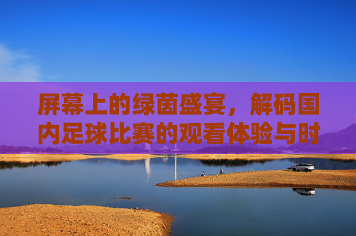 屏幕上的绿茵盛宴,解码国内足球比赛的观看体验与时代共鸣