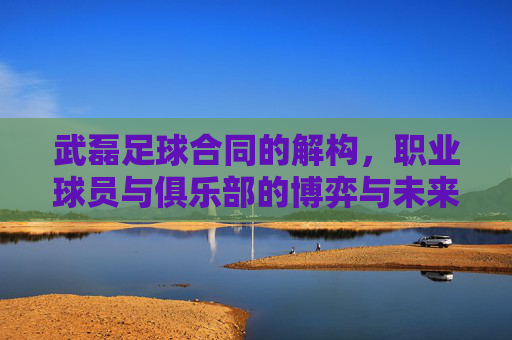 武磊足球合同的解构,职业球员与俱乐部的博弈与未来展望,武磊足球合同解构,职业球员与俱乐部博弈及未来展望
