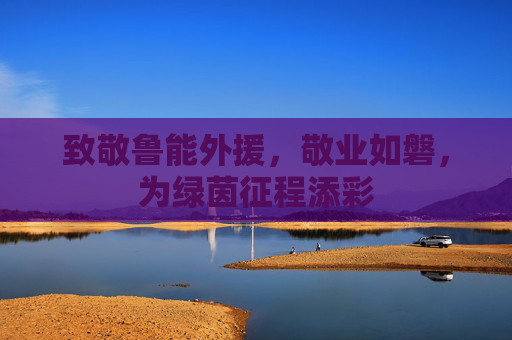致敬鲁能外援,敬业如磐,为绿茵征程添彩