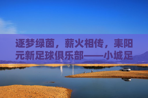 逐梦绿茵,薪火相传,耒阳元新足球俱乐部——小城足球的活力引擎与希望之光
