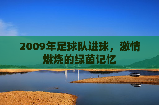 2009年足球队进球,激情燃烧的绿茵记忆