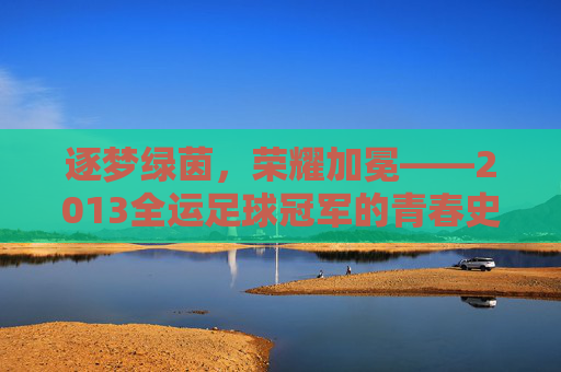 逐梦绿茵,荣耀加冕——2013全运足球冠军的青春史诗