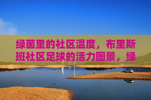 绿茵里的社区温度，布里斯班社区足球的活力图景，绿茵里的社区温度，布里斯班社区足球的活力图景