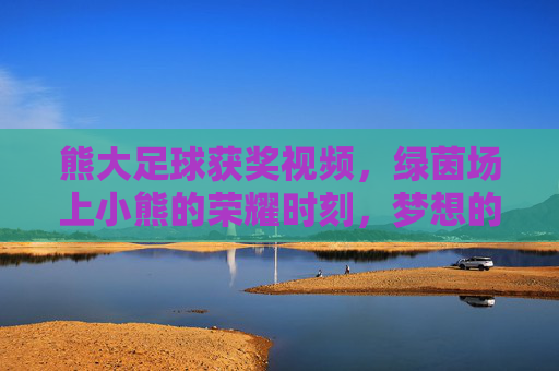 熊大足球获奖视频，绿茵场上小熊的荣耀时刻，梦想的绽放