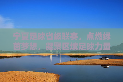 宁夏足球省级联赛，点燃绿茵梦想，凝聚区域足球力量，宁夏足球省级联赛，点燃绿茵梦想，凝聚区域足球力量