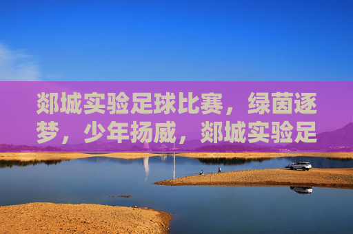 郯城实验足球比赛，绿茵逐梦，少年扬威，郯城实验足球赛，绿茵逐梦，少年扬威