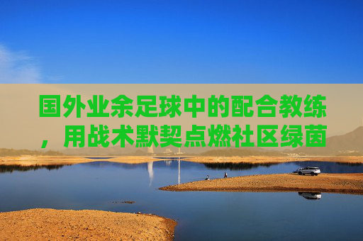 国外业余足球中的配合教练，用战术默契点燃社区绿茵的协作热情，国外业余足球中的配合教练，用战术默契点燃社区协作热情