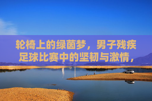 轮椅上的绿茵梦,男子残疾足球比赛中的坚韧与激情,轮椅上的绿茵梦,男子残疾足球比赛中的坚韧与激情