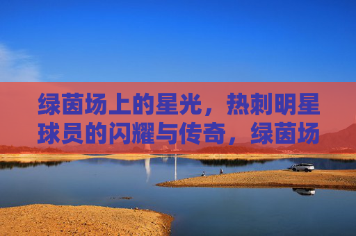 绿茵场上的星光，热刺明星球员的闪耀与传奇，绿茵场上的星光，热刺明星球员的闪耀与传奇