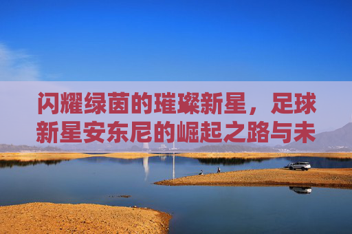 闪耀绿茵的璀璨新星，足球新星安东尼的崛起之路与未来展望