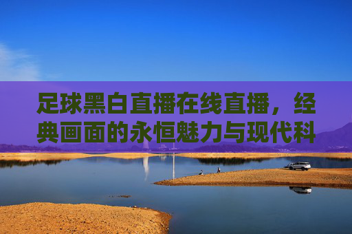 足球黑白直播在线直播，经典画面的永恒魅力与现代科技的实时碰撞，足坛激情的沉浸式体验，足球黑白直播，经典画面的永恒魅力与现代科技的实时碰撞，足坛激情的沉浸式体验