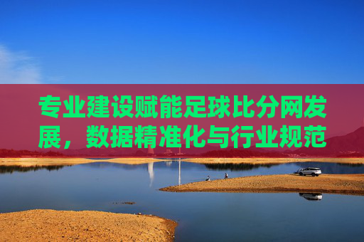 专业建设赋能足球比分网发展,数据精准化与行业规范化之路