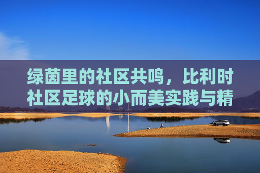绿茵里的社区共鸣，比利时社区足球的小而美实践与精神内核