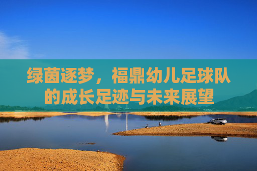 绿茵逐梦,福鼎幼儿足球队的成长足迹与未来展望