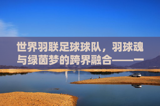 世界羽联足球球队，羽球魂与绿茵梦的跨界融合——一场体育精神的跨界探索，世界羽联足球球队，羽球魂与绿茵梦的跨界融合——一场体育精神的跨界探索