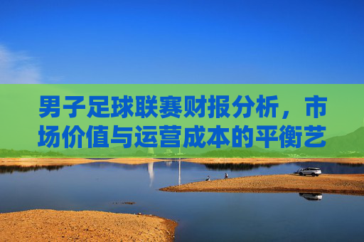男子足球联赛财报分析,市场价值与运营成本的平衡艺术——基于全球顶级联赛的财务数据透视