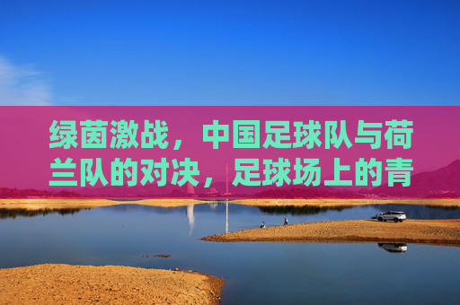 绿茵激战,中国足球队与荷兰队的对决,足球场上的青春与梦想碰撞