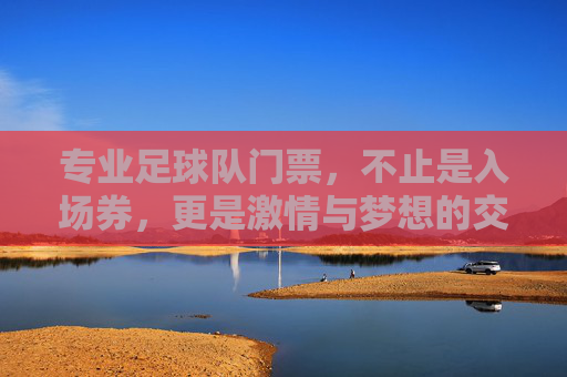 专业足球队门票，不止是入场券，更是激情与梦想的交汇点——探寻足球盛宴的独特魅力与价值