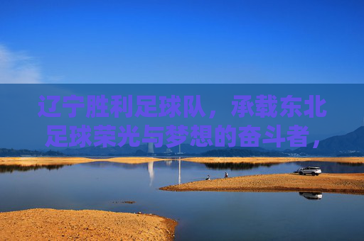 辽宁胜利足球队,承载东北足球荣光与梦想的奋斗者,辽宁胜利足球队,承载东北足球荣光与梦想的奋斗者