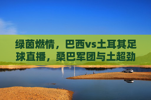 绿茵燃情,巴西vs土耳其足球直播,桑巴军团与土超劲旅的激情碰撞