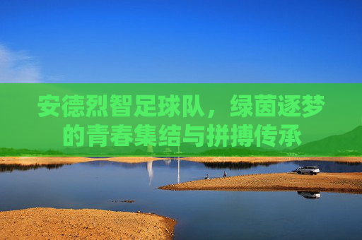 安德烈智足球队,绿茵逐梦的青春集结与拼搏传承