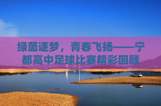 绿茵逐梦，青春飞扬——宁都高中足球比赛精彩回顾