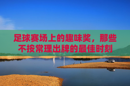足球赛场上的趣味奖,那些不按常理出牌的最佳时刻