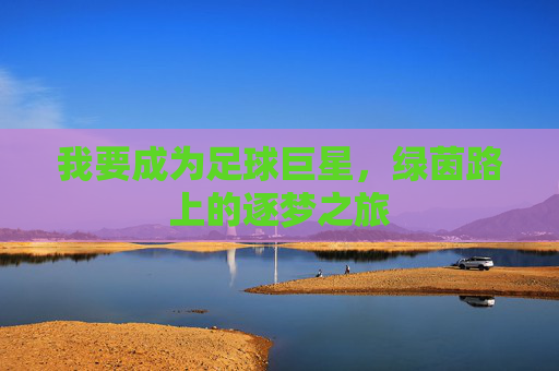 我要成为足球巨星，绿茵路上的逐梦之旅