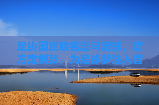 足协国足联名彪马足球,官方定制款,为足球梦注入官方权威与激情