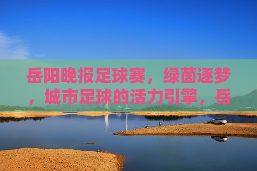 岳阳晚报足球赛,绿茵逐梦,城市足球的活力引擎,岳阳晚报足球赛,绿茵逐梦,城市足球的活力引擎