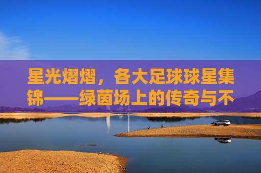星光熠熠，各大足球球星集锦——绿茵场上的传奇与不朽，星光熠熠，各大足球球星集锦——绿茵场上的传奇与不朽