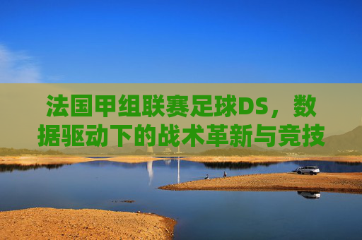法国甲组联赛足球DS，数据驱动下的战术革新与竞技新篇章