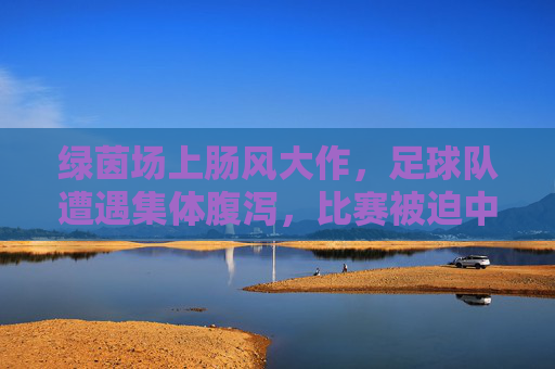 绿茵场上肠风大作,足球队遭遇集体腹泻,比赛被迫中断的意外,绿茵场上集体腹泻致比赛被迫中断的意外