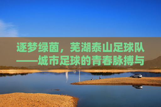 逐梦绿茵,芜湖泰山足球队——城市足球的青春脉搏与时代印记,逐梦绿茵,芜湖泰山足球队——城市足球的青春脉搏与时代印记