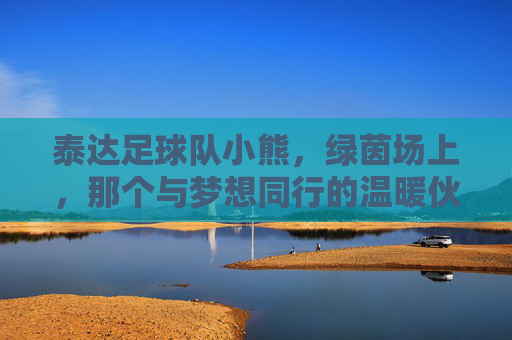 泰达足球队小熊,绿茵场上,那个与梦想同行的温暖伙伴
