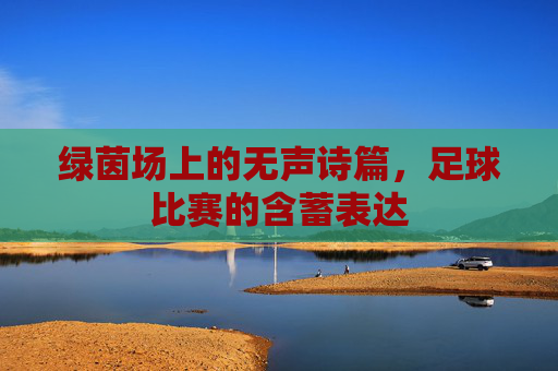 绿茵场上的无声诗篇,足球比赛的含蓄表达